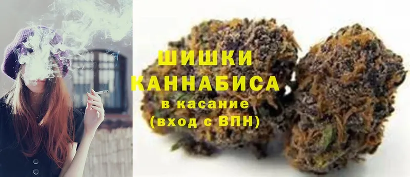 Каннабис планчик  Коммунар 